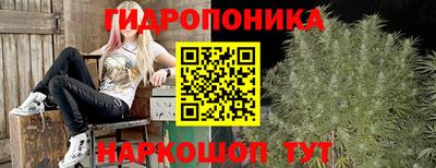 шишки Северобайкальск