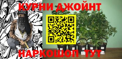 твердый Сланцы