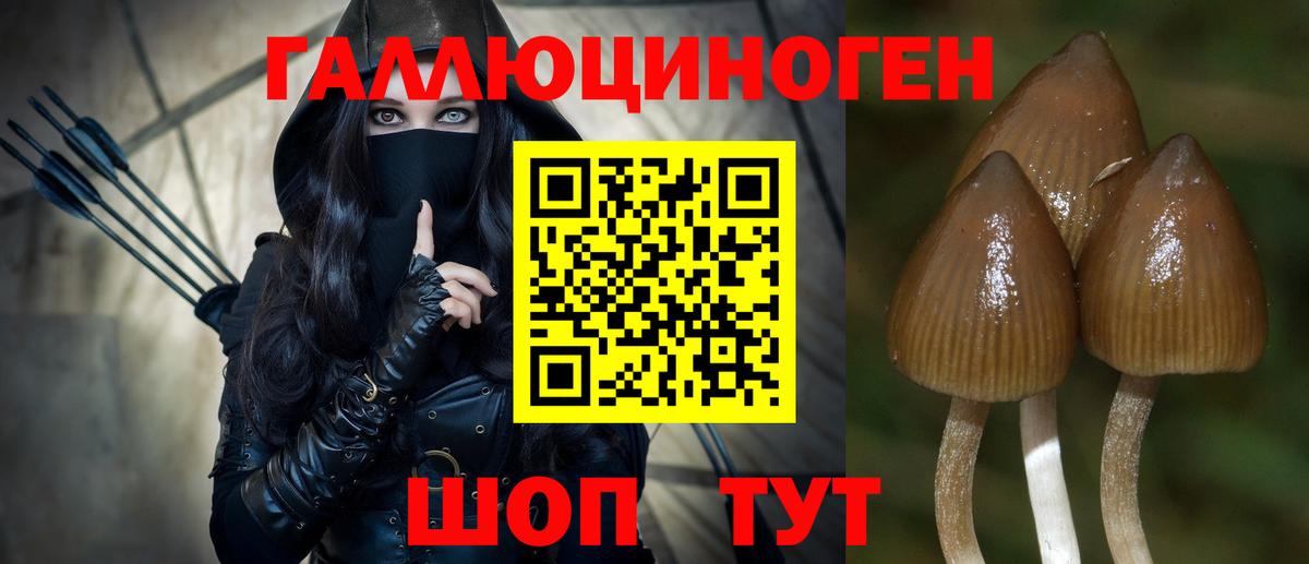 Галлюциногенные грибы Psilocybine cubensis  Псилоцибиновые грибы мицелий  Моздок  Вход с VPN 