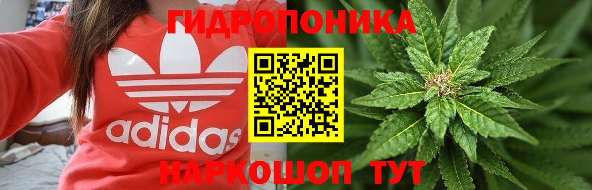 Канабис индика Моздок
